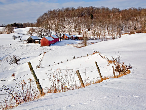 Winter Fence, Reading Vt