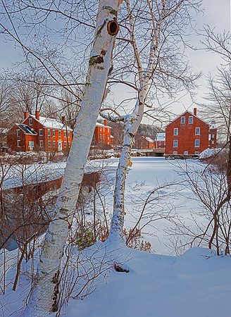 Mill Pond Birches, Harrisville, NH