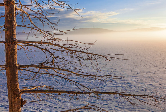Frozen Fog, Spofford Lake, NH