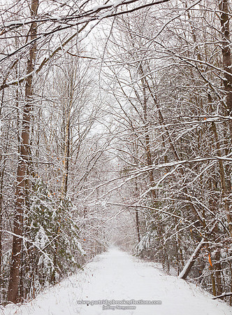 Westmoreland snow