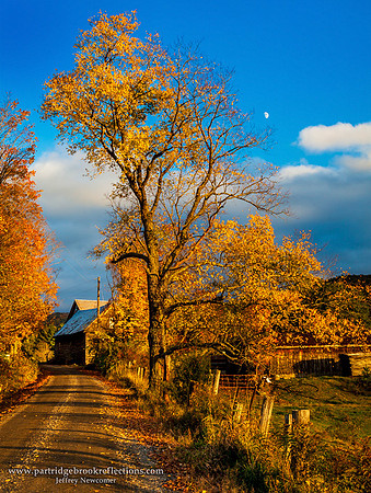 Golden Brush, Chesterfielod, NH