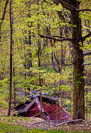 260504SugarHuseDownSpoffordNH