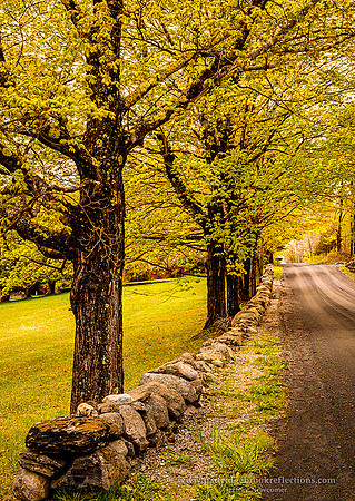 PleasantValleyRoadBrattleboroVT