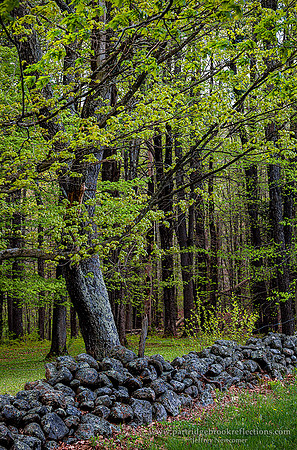 260506SpringBordertChesterfieldNH