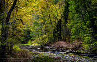 260502GreenRiverBendGuilfordVt