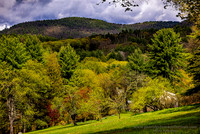 260502HillsideSpringDummerstonVt