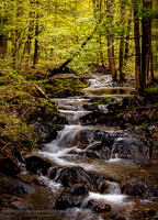 260502SpringFlowDunnerstonVt