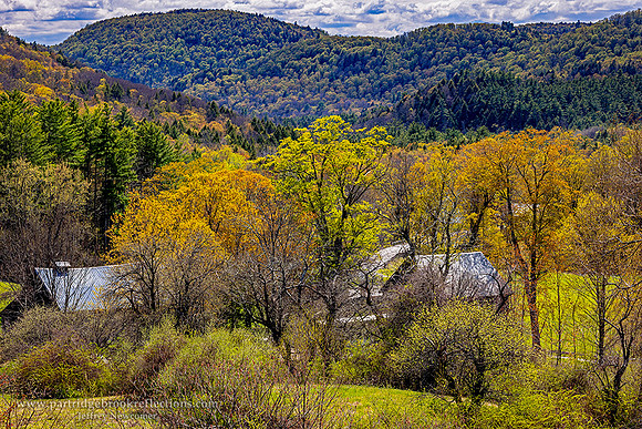 260502SpringValleyWestGuilfordVt