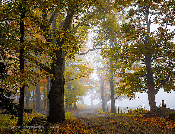 221011MistyDepthChesterfieldNH