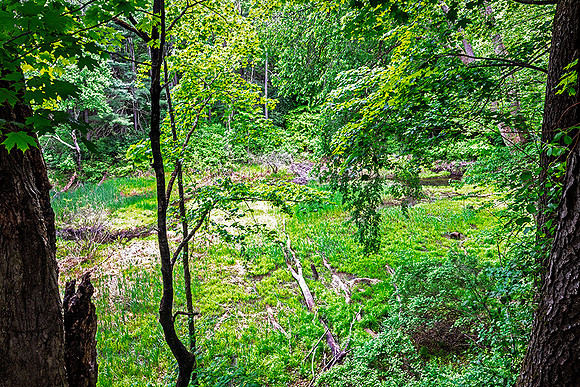260606StudioDeckViewSpoffordNH