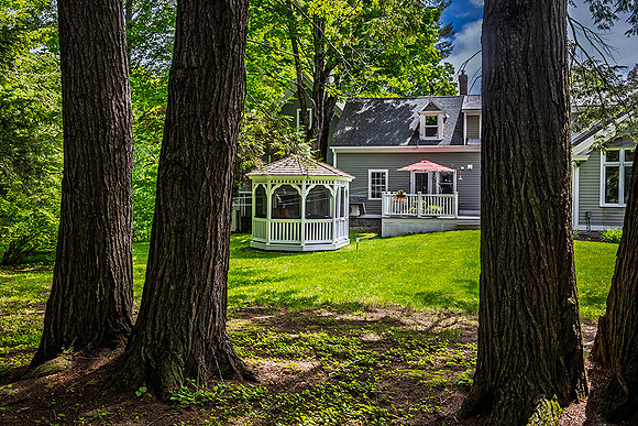 260606GazeboThroughHemlocksSpoffordNH