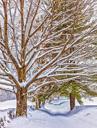 Hooper Path, Walpole, NH