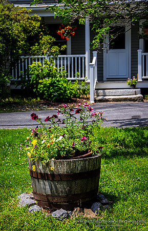 260630FlowerBarrelSpoffordNH