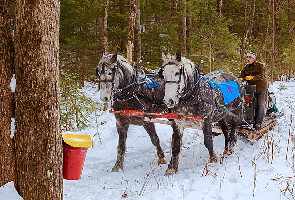 Bucket Brigade, Keene, NH