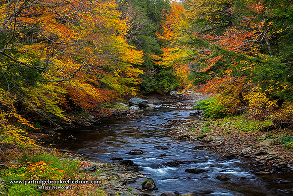 Green River Foliage, Guilford, Vt