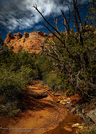 230306RedRockWashSedonaAz
