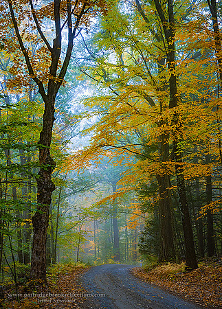 221011GoldenShortcutChesterfieldNH