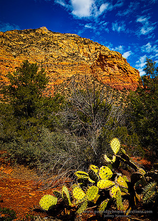 230306PricklyPearViewSedonaAz