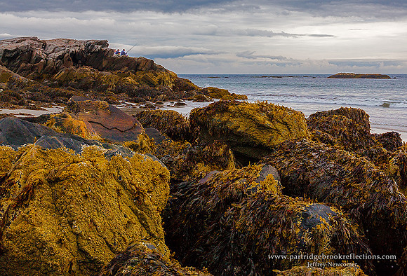 Encrusted, Rye Beach, NH