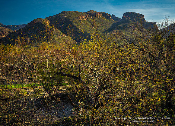 230309GreenHillsTucsonAz