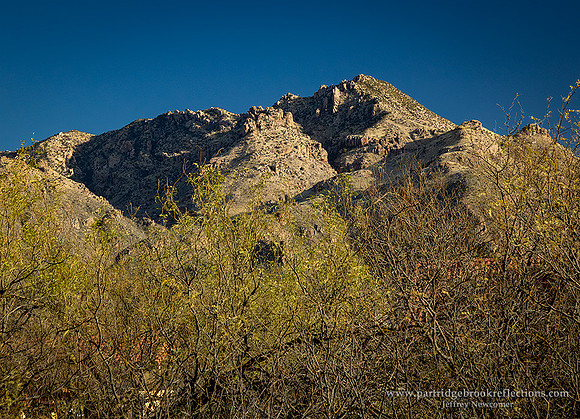 230309CatalinaPeakTucsonAz