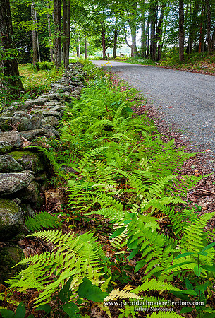 150912VerdantBorderChesterfieldNH