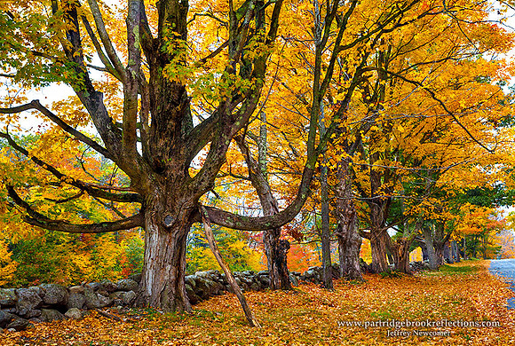 151022ReachMarlboroughNH
