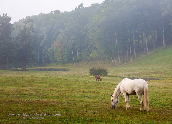 150903BroadPastureChesterfieldNHC