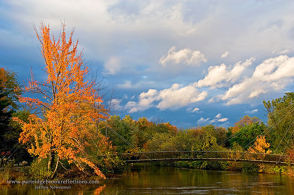 Ashuelot Park Bridge, Keene, NH