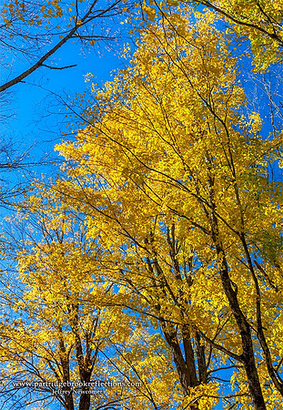 151015YellowSkyGuilfordVt-HDR