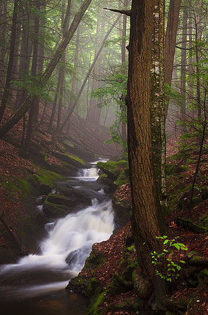 storm Flow, Chesterfield Gorge