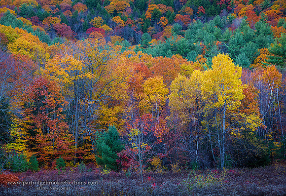 151029MtPisterineColorSpoffordNH