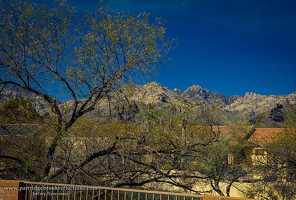 230308CatalinaMountainViewTucsonAz