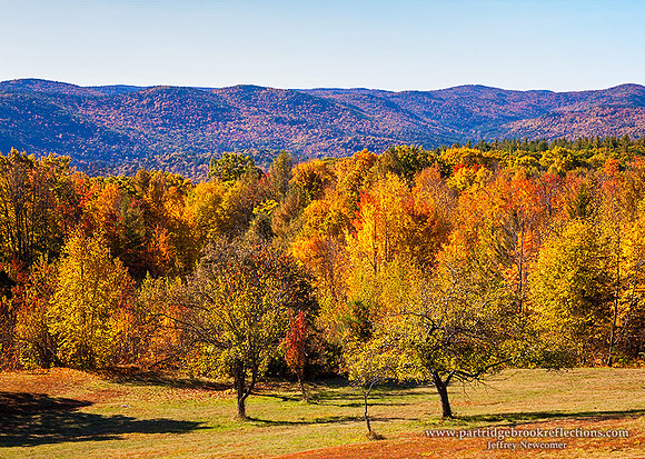 151019LongviewNewfaneVt