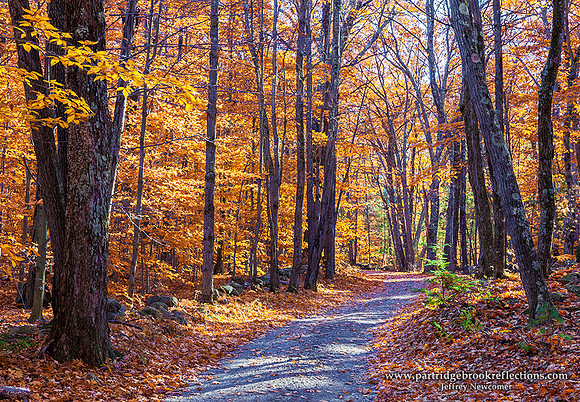 151104ShortCutChesterfieldNH