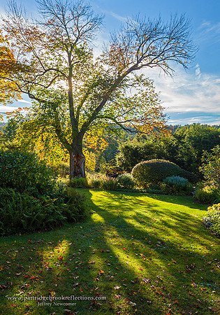 151006AutumnShadowWestmorelandNHC