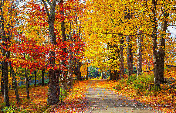 151024BeckoningColorChesterfieldNH