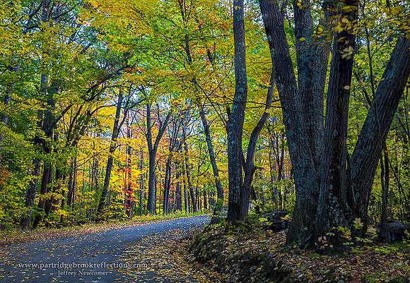 151015RoadsEndBendChesterfieldNH