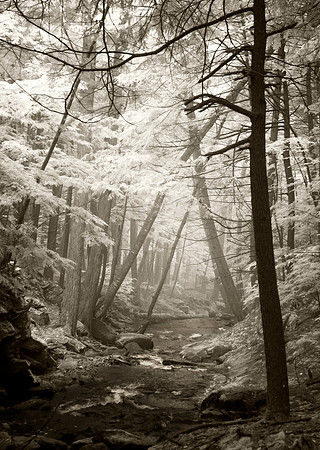 Arches, Chesterfield Gorge, NH