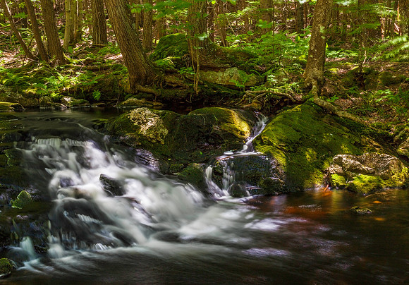 Gridley River Green II, Sharon, NH