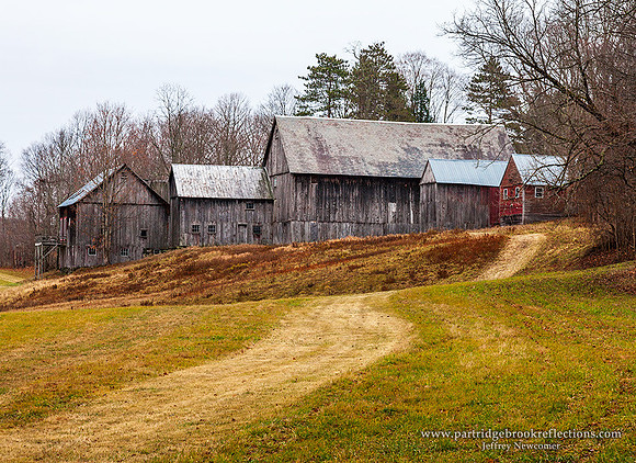 151128FiveBarnsPutneyVt