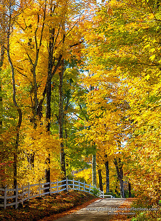151022FencingThe-ColorDublinNH