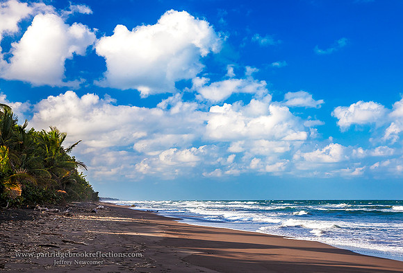 160118CaribbeanShoreTortugueroCostaRica
