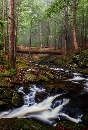 Cascade Span, Chesterfield Gorge, NH