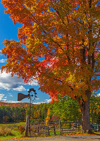 151015WindVaneChesterfieldNH