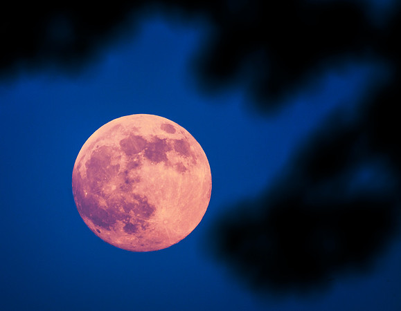 Red Moon, Keene, NH