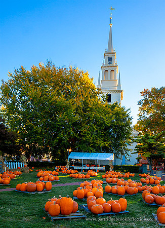 151026TrinityPumpkinsNewportRI