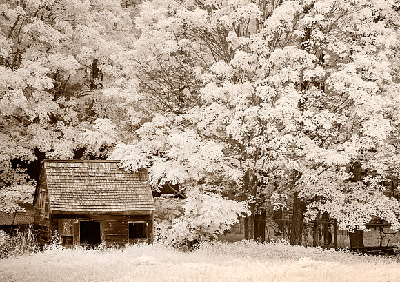Back Shack, Marlborough, NH