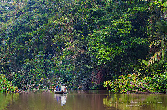 160119BackwaterTortugueroCostaRica