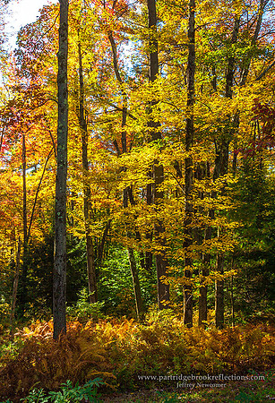 151012APieceOfAutumnChesterfieldNH